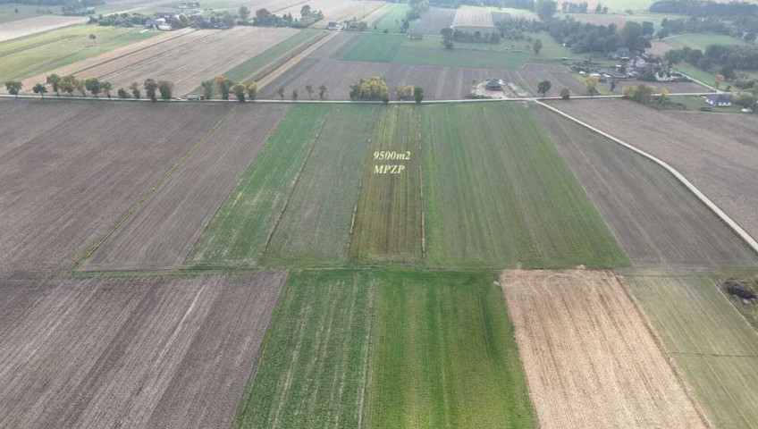 Działka Sprzedaż Marzenin Wrzesińska