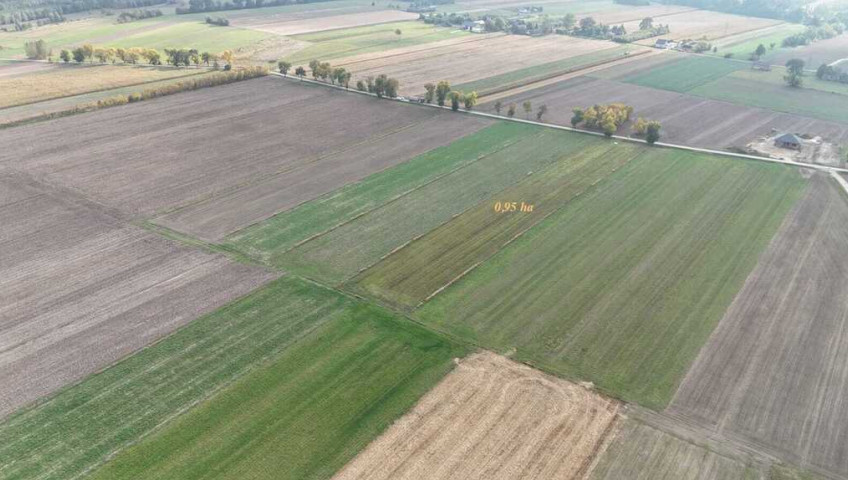 Działka Sprzedaż Marzenin Wrzesińska
