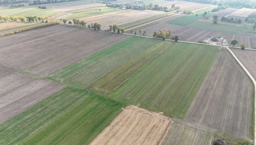 Działka Sprzedaż Marzenin Wrzesińska