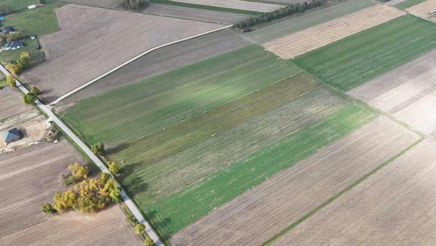 Działka Sprzedaż Marzenin Wrzesińska