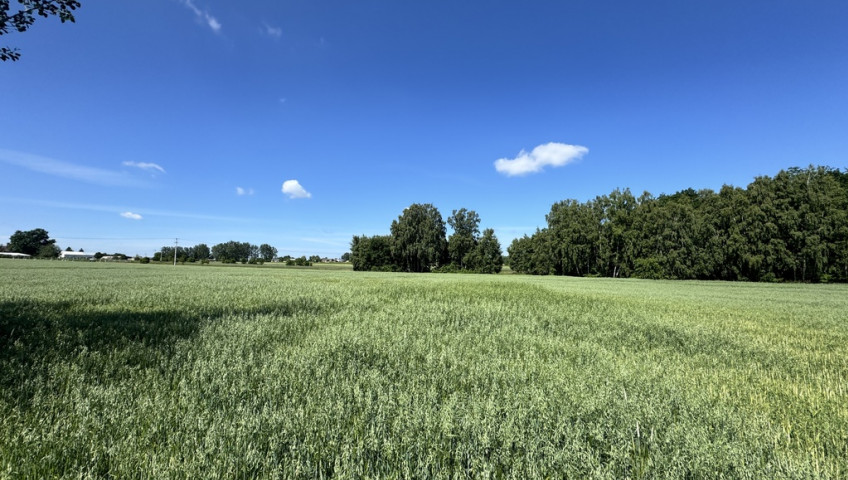 Działka Sprzedaż Wola Kazubowa